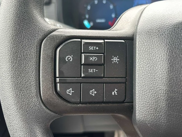 SEMINUEVOS FORD F-150 a Estados en autogozo