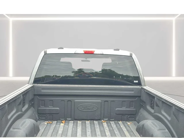 SEMINUEVOS FORD F-150 a Estados en autogozo