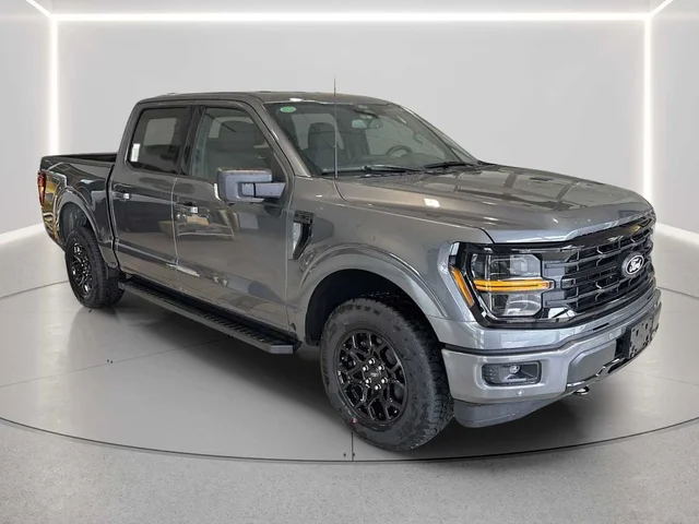 Nuevos FORD F-150 à Estados chez autogozo