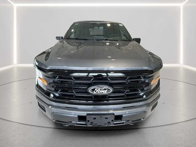 Nuevos FORD F-150 à Estados chez autogozo
