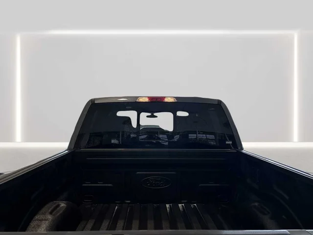 Nuevos FORD F-150 à Estados chez autogozo