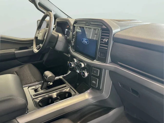 Nuevos FORD F-150 à Estados chez autogozo