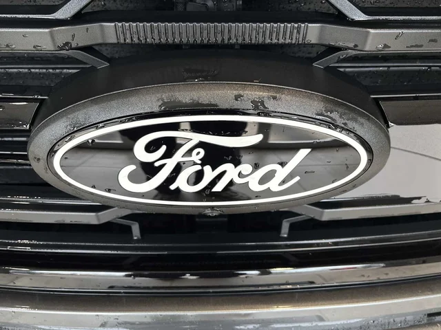 Nuevos FORD F-150 à Estados chez autogozo