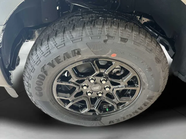 Nuevos FORD F-150 à Estados chez autogozo