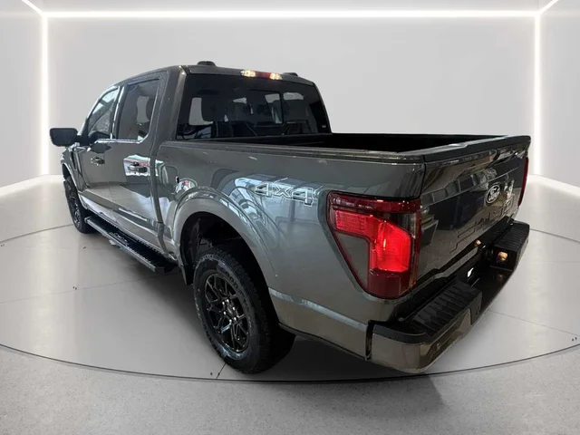 Nuevos FORD F-150 à Estados chez autogozo