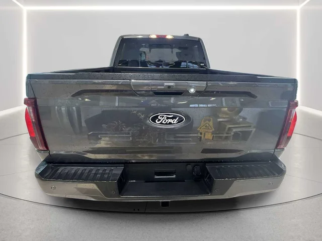Nuevos FORD F-150 à Estados chez autogozo