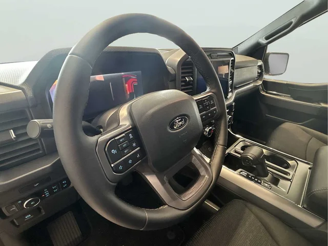 Nuevos FORD F-150 à Estados chez autogozo