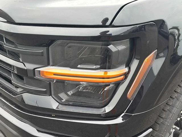 Nuevos FORD F-150 à Estados chez autogozo