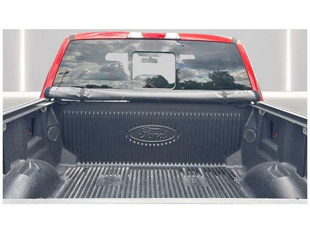 SEMINUEVOS FORD F-150 a Estados en autogozo