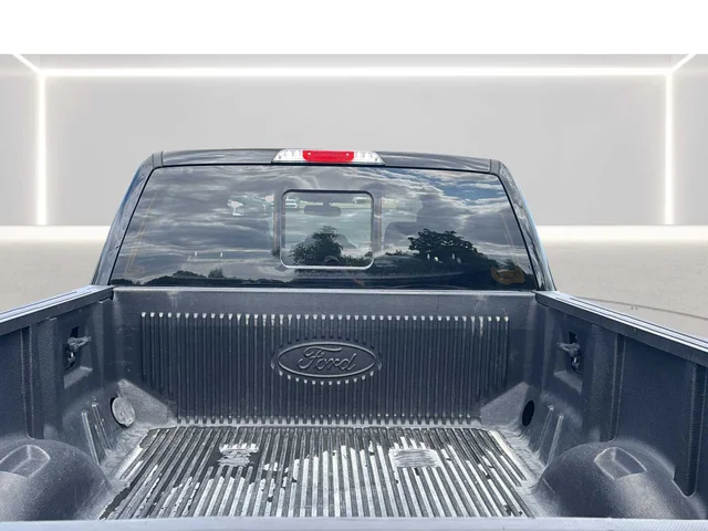 SEMINUEVOS FORD F-150 a Estados en autogozo