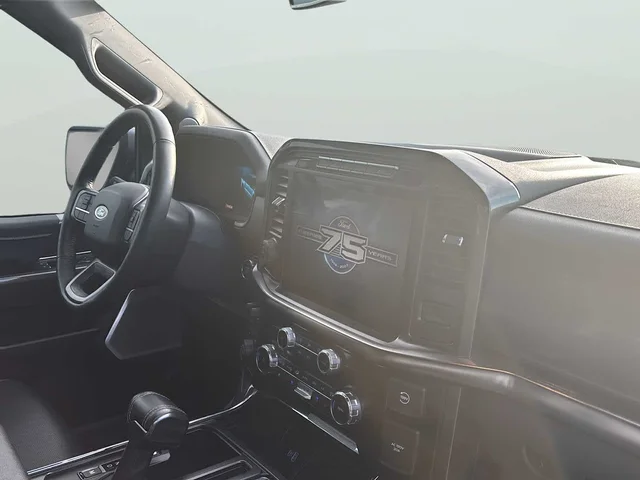SEMINUEVOS FORD F-150 a Estados en autogozo