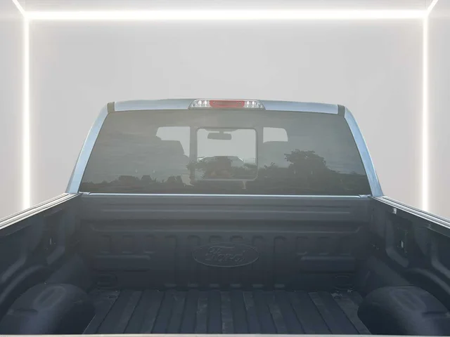 SEMINUEVOS FORD F-150 a Estados en autogozo