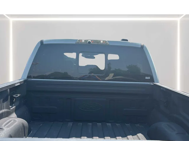 SEMINUEVOS FORD F-150 a Estados en autogozo