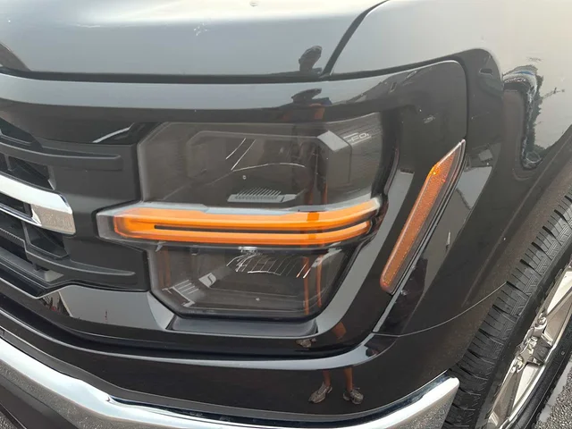 SEMINUEVOS FORD F-150 a Estados en autogozo