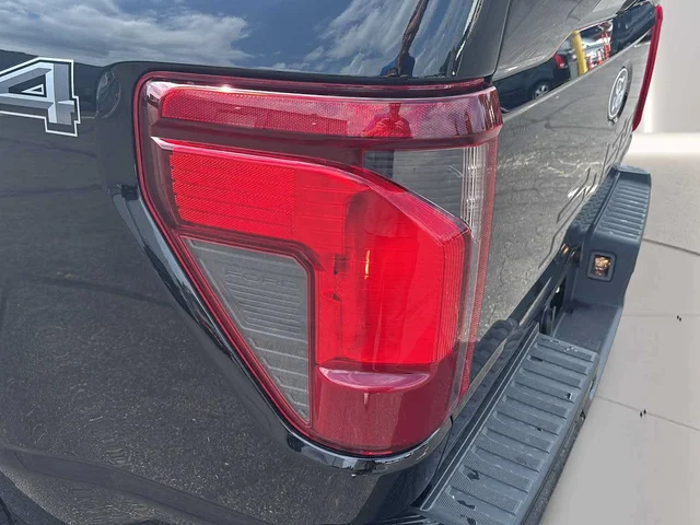 Nuevos FORD F-150 à Estados chez autogozo