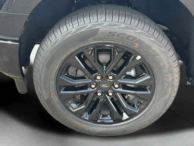 Nuevos FORD F-150 à Estados chez autogozo