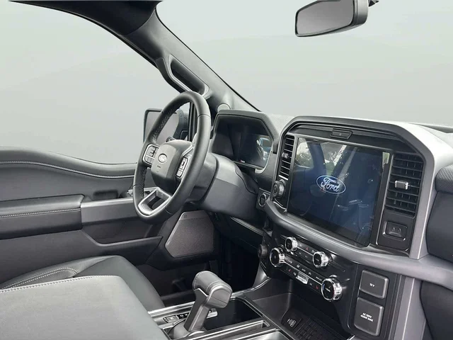 Nuevos FORD F-150 à Estados chez autogozo