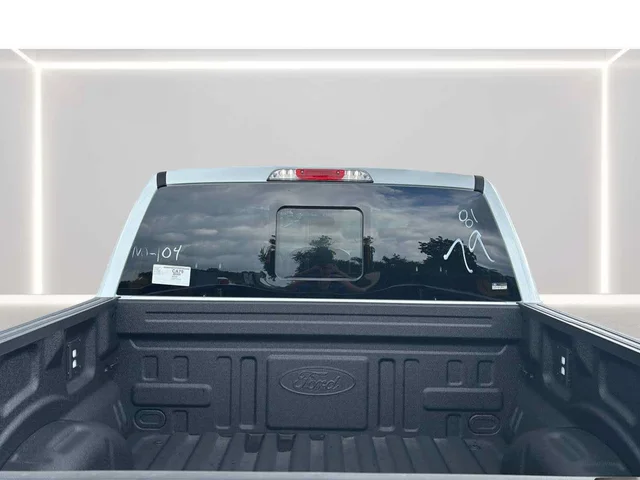 Nuevos FORD F-150 à Estados chez autogozo
