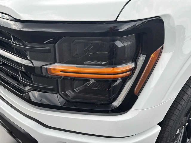 Nuevos FORD F-150 à Estados chez autogozo
