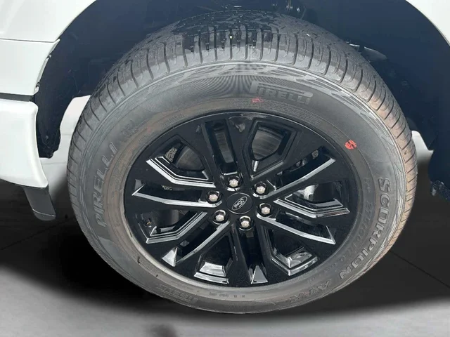 Nuevos FORD F-150 à Estados chez autogozo