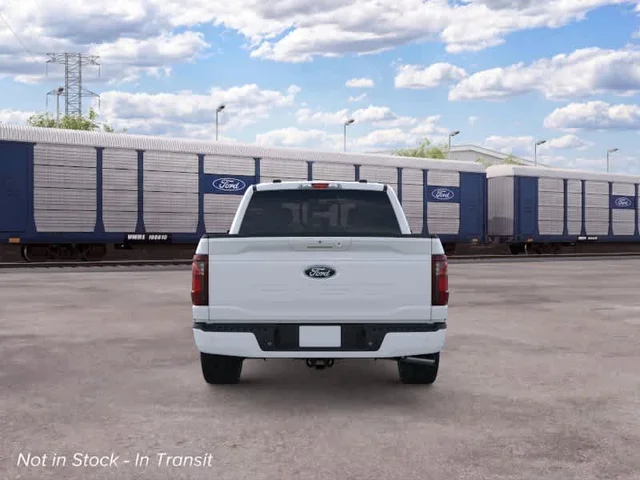 Nuevos FORD F-150 à Estados chez autogozo