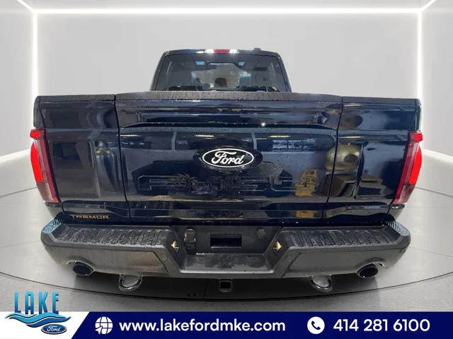 Nuevos FORD F-150 à Estados chez autogozo