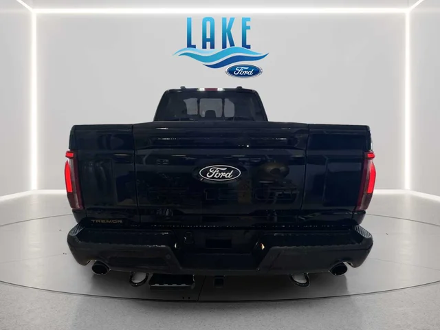 SEMINUEVOS FORD F-150 a Estados en autogozo
