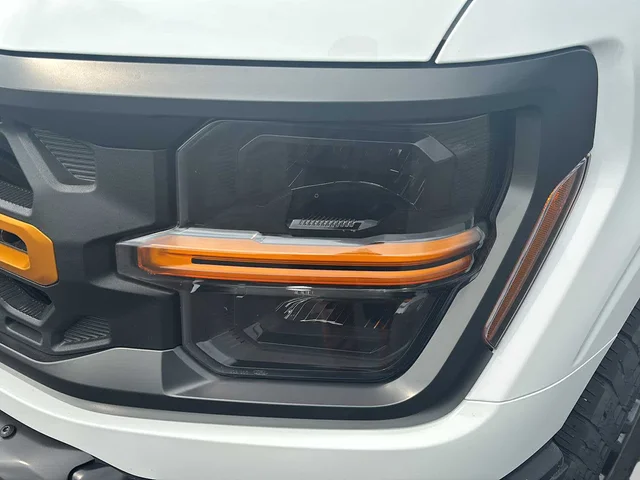 SEMINUEVOS FORD F-150 a Estados en autogozo