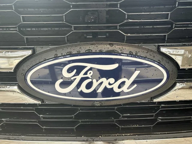 Nuevos FORD F-150 à Estados chez autogozo