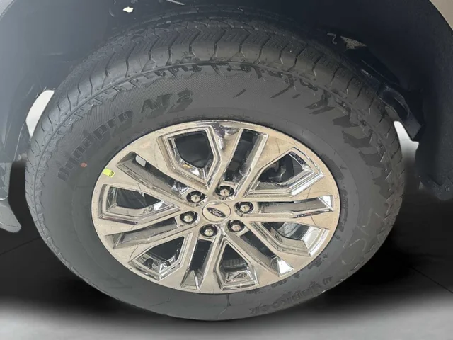 Nuevos FORD F-150 à Estados chez autogozo