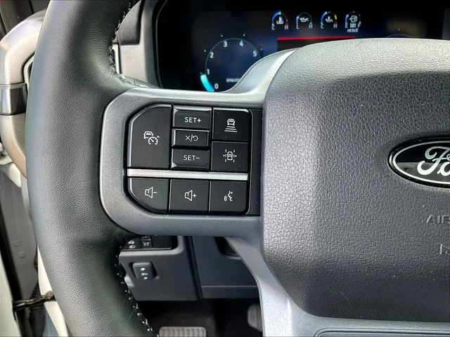 SEMINUEVOS FORD F-150 a Estados en autogozo