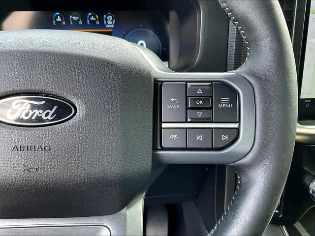 SEMINUEVOS FORD F-150 a Estados en autogozo