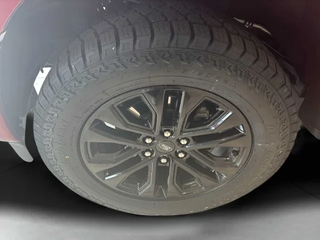 SEMINUEVOS FORD F-150 a Estados en autogozo
