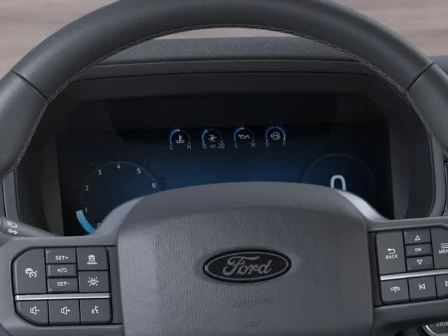 Nuevos FORD F-150 à Estados chez autogozo