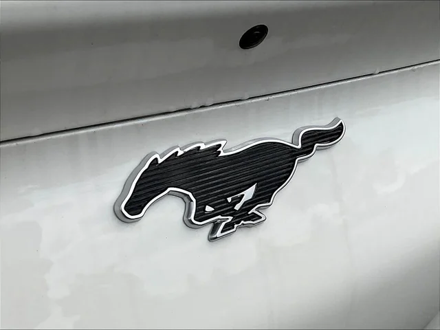 Nuevos FORD MUSTANG MACH-E à Estados chez autogozo