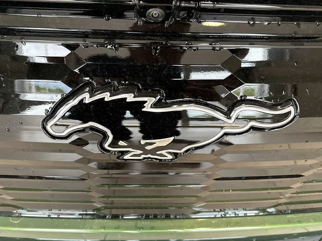 Nuevos FORD MUSTANG MACH-E à Estados chez autogozo