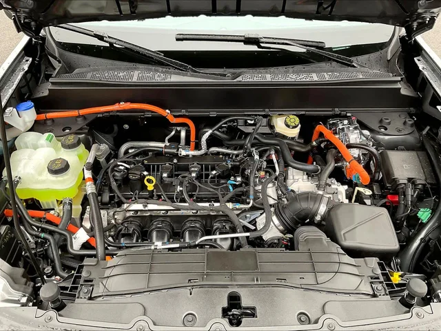 Nuevos FORD MAVERICK à Estados chez autogozo