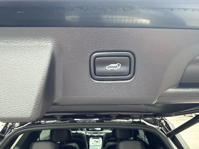 SEMINUEVOS HYUNDAI Palisade a Estados en autogozo