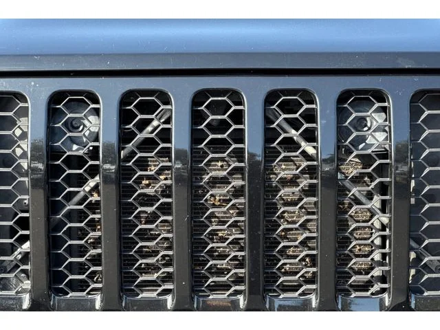 SEMINUEVOS JEEP Gladiator a Estados en autogozo