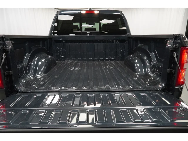 Nuevos RAM 1500 à Estados chez autogozo