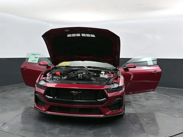 Nuevos FORD MUSTANG à Estados chez autogozo