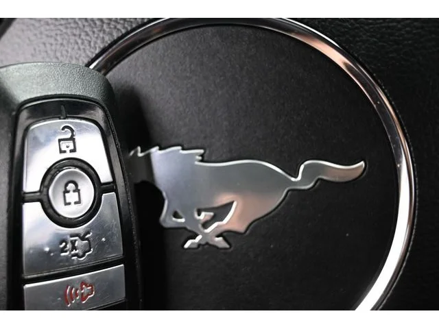 SEMINUEVOS FORD Mustang a Estados en autogozo