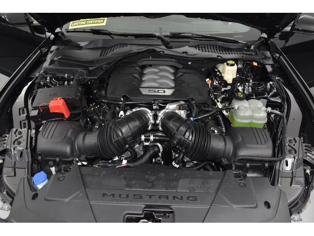 Nuevos FORD MUSTANG à Estados chez autogozo