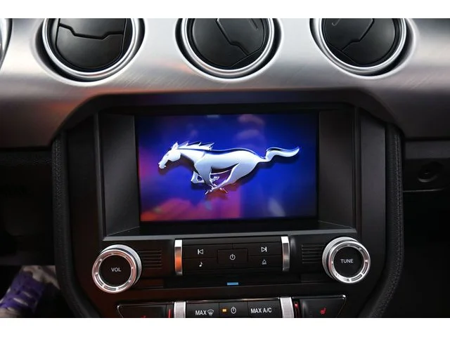 SEMINUEVOS FORD Mustang a Estados en autogozo