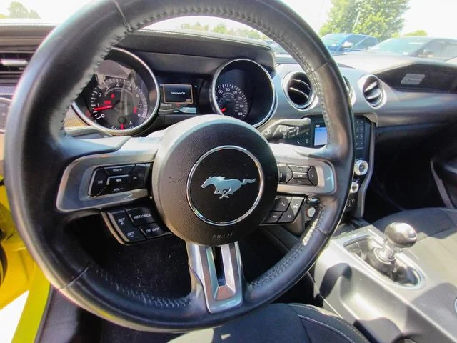 SEMINUEVOS FORD Mustang a Estados en autogozo