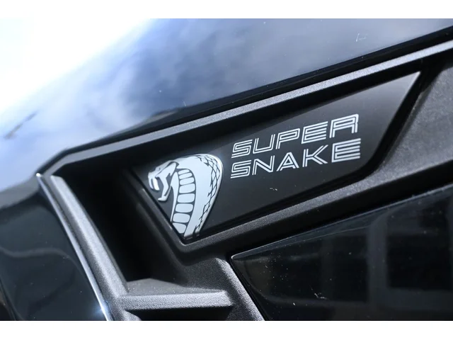 Nuevos FORD MUSTANG à Estados chez autogozo