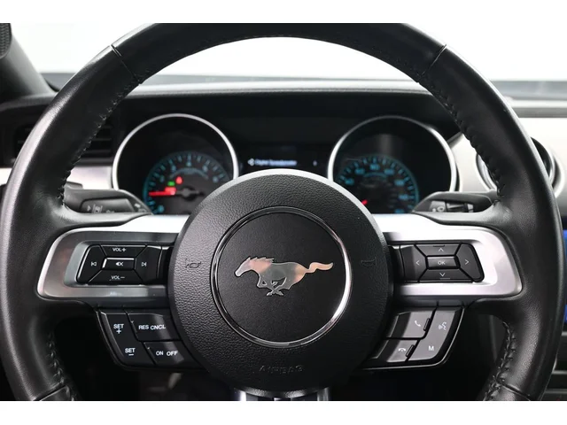 SEMINUEVOS FORD Mustang a Estados en autogozo