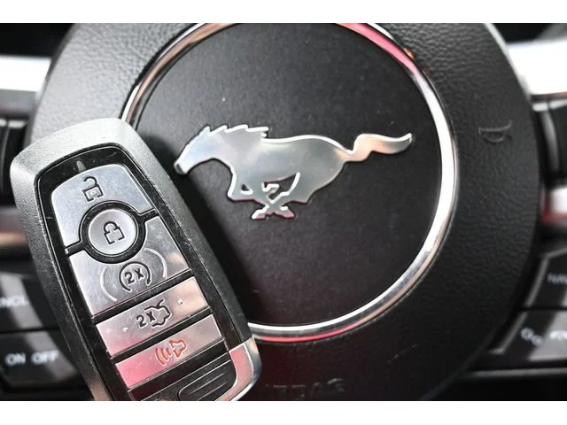 SEMINUEVOS FORD Mustang a Estados en autogozo