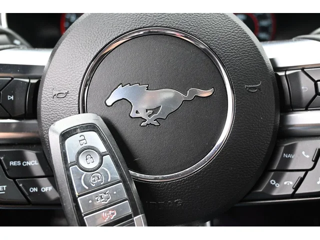 SEMINUEVOS FORD Mustang a Estados en autogozo