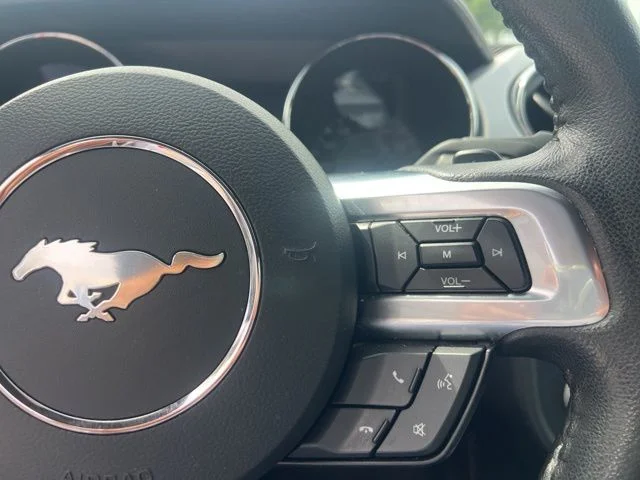 SEMINUEVOS FORD Mustang a Estados en autogozo